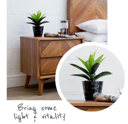 wooden bedside table with plant and coffee plunger and coffee cup on top of it